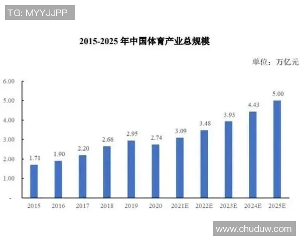 体育组织在全球化时代的转型与发展路径探索及其对体育产业的深远影响